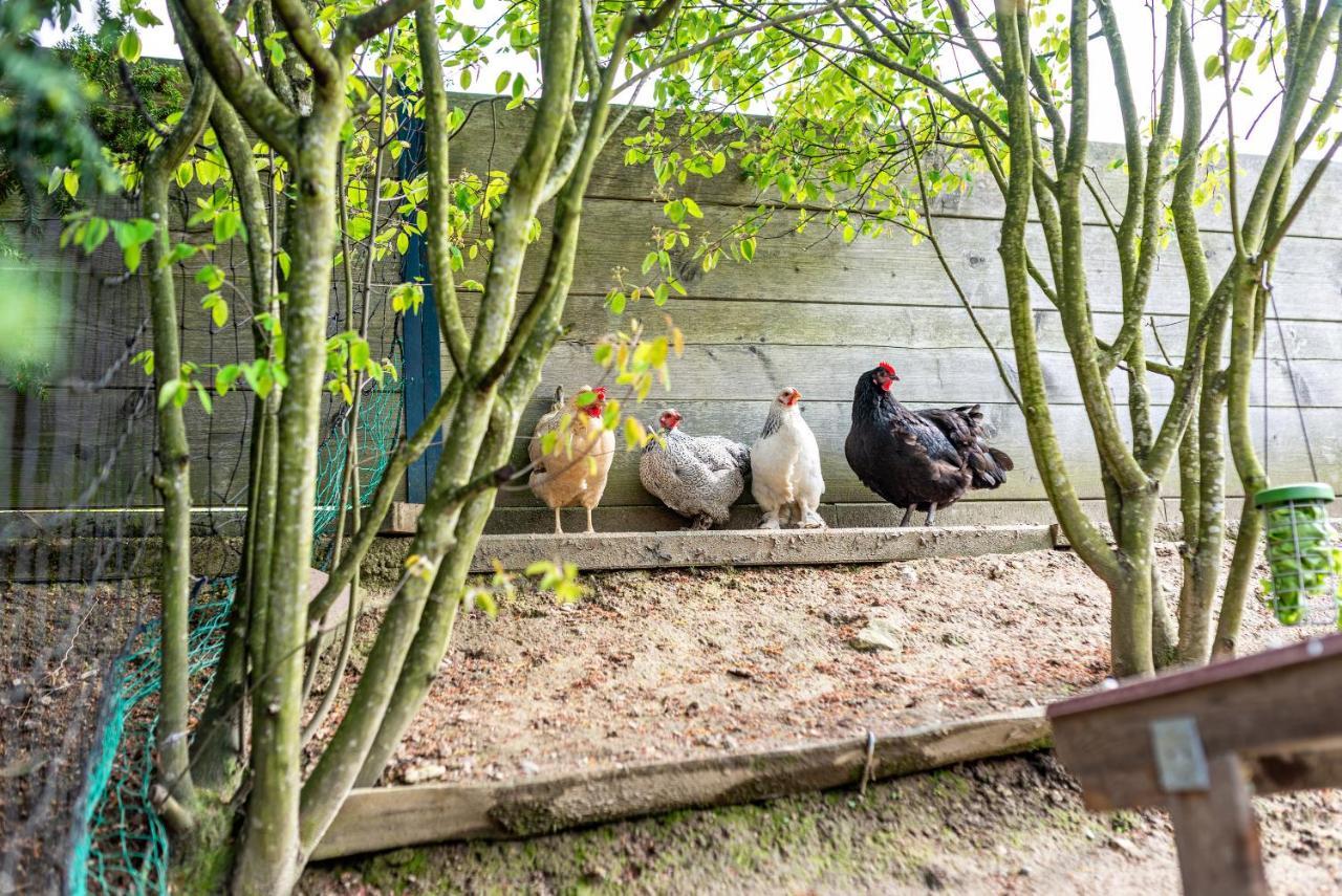 Ferienwohnung Fasse Bühlertal エクステリア 写真