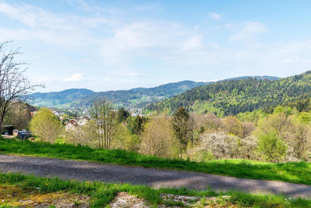 Ferienwohnung Fasse Bühlertal エクステリア 写真