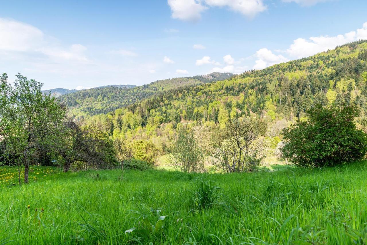 Ferienwohnung Fasse Bühlertal エクステリア 写真